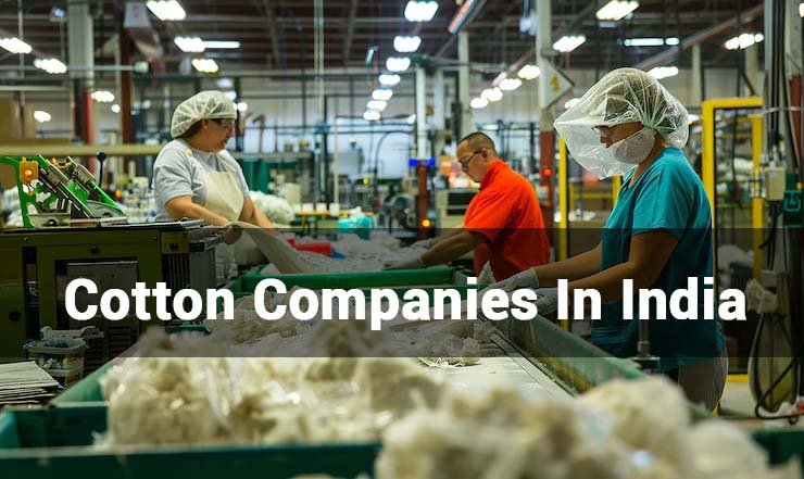 Cotton Companies In India
